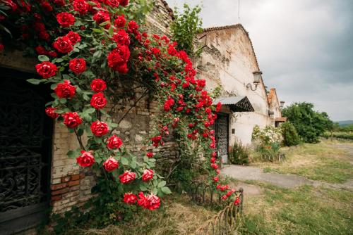 Chateau Eniseli