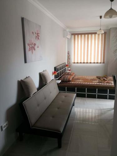 Studio Emi, Pomorie (Foto 6)