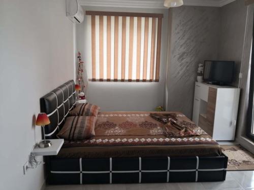 Studio Emi, Pomorie (Foto 4)