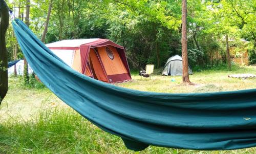 . Different Belgrade camping