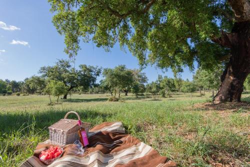 Herdade do Vale da Abelheira - MyStay Sines