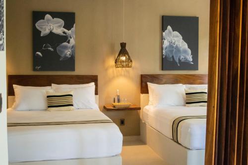 302318026 Ciyé Hotel