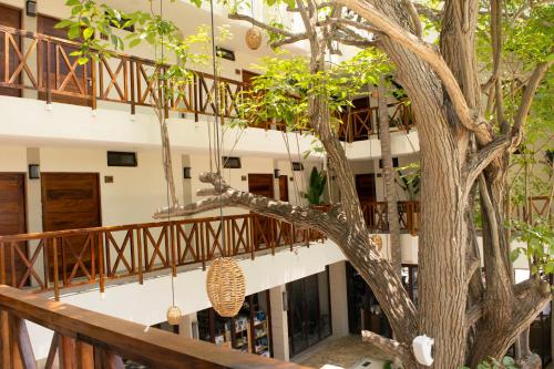 302320554 Ciyé Hotel