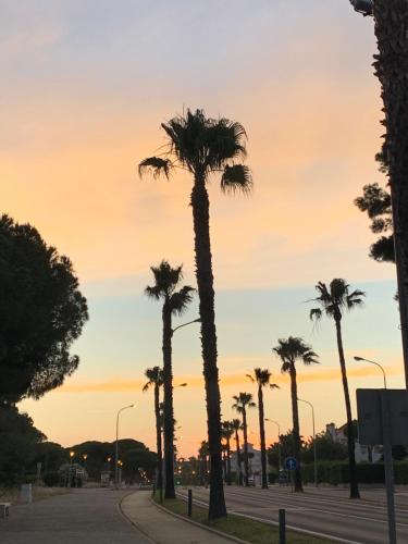 Apartamento a pie de playa Apartamento a pie de playa