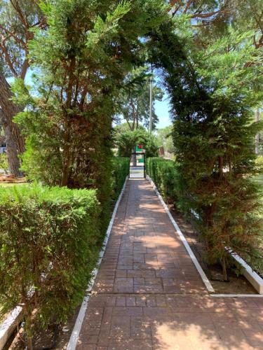 Apartamento a pie de playa Apartamento a pie de playa