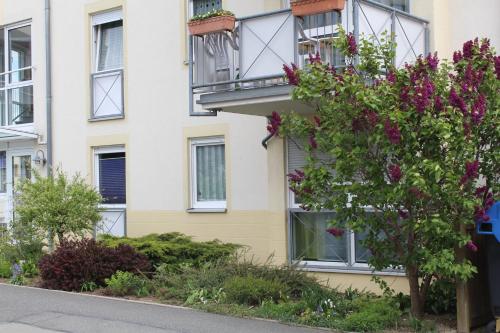 Spitzen-Ferienwohnung in der Spitzenstadt Plauen - Apartment