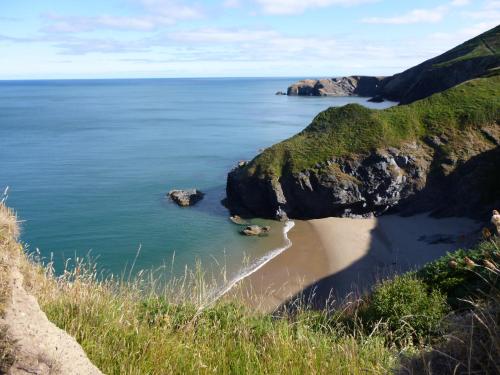 Nantgwynfaen Organic Farm Wales - image 8