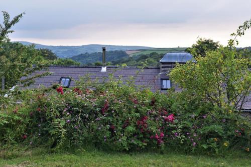 Nantgwynfaen Organic Farm Wales - image 2