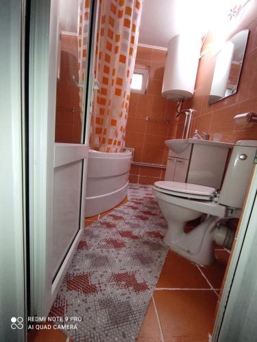 Dayly House Apartament Sulina