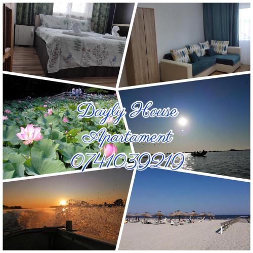 Dayly House Apartament Sulina - Apartment