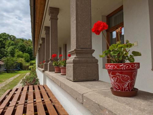Iekārtas, Rozsakert Vendeghaz in Szomolya