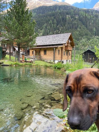 Gletscher Chalet - Flattach