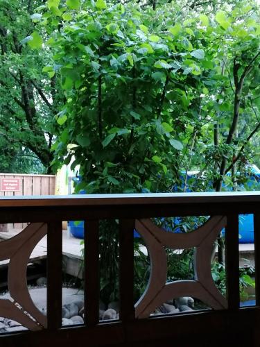 Schwarzwald Appartement Schwarzwald Appartement