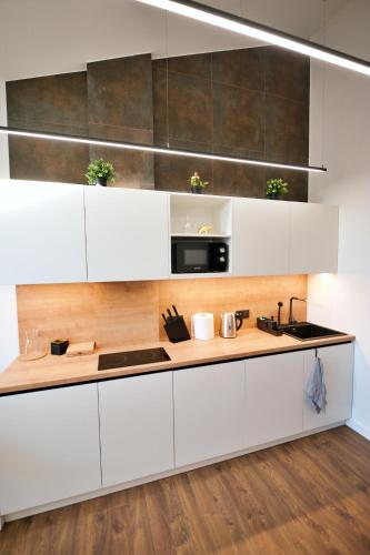 Last floor two level apartment with fantastic view, Rīga (photo 9)