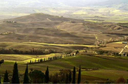 Agriturismo La Fragola - image 5