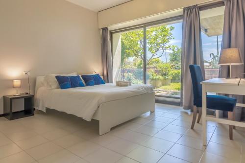 HAPPY HOLIDAY Spazio aperto con vista mare - Apartment - Camogli