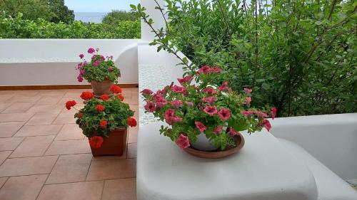 Agriturismo SoleMare - image 4