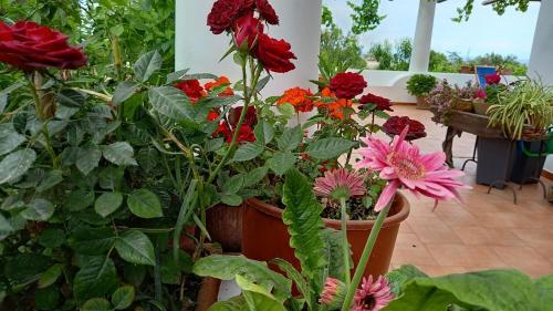 Agriturismo SoleMare - image 10