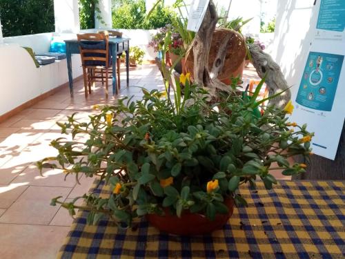 Agriturismo SoleMare - image 5