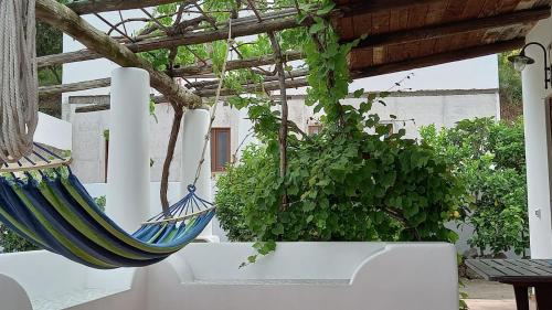 Agriturismo SoleMare - image 8