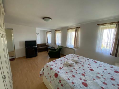 Villa Pontica - image 2