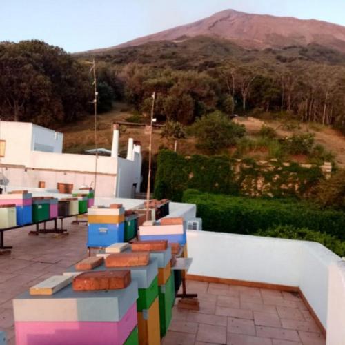Agriturismo SoleMare - image 2