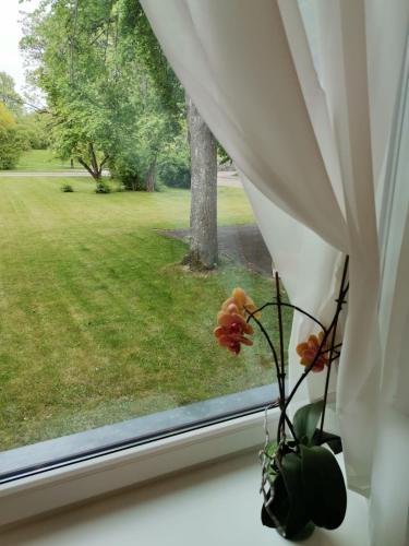 Guest house Baltika in Ventspils
