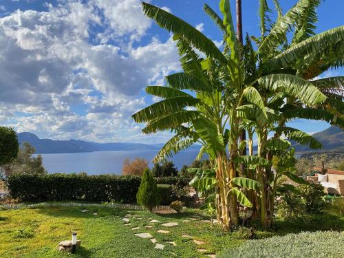 Levanda Home gîte à louer Áyios Yeóryios