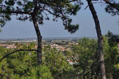 Entre océan et marais salants, cette charmante maison vous attend…