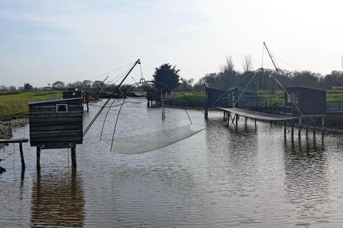 Entre océan et marais salants cette charmante maison vous attend… - image 7