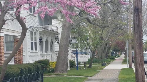 Ocean City Mansion in Ocean City, USA