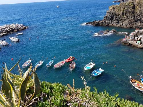 Vitis Vitae Vernazza, San Bernardino 5 Terre