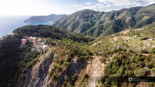 Vitis Vitae Vernazza, San Bernardino 5 Terre