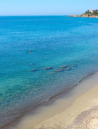 Londrino Sanremo - image 6