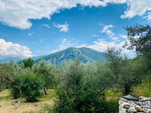 Tipica Casa Nella Campagna Italiana gîte à louer Tocco da Casauria