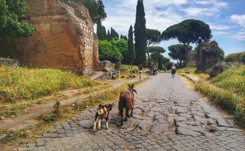 Casa Vacanza Katiuscia