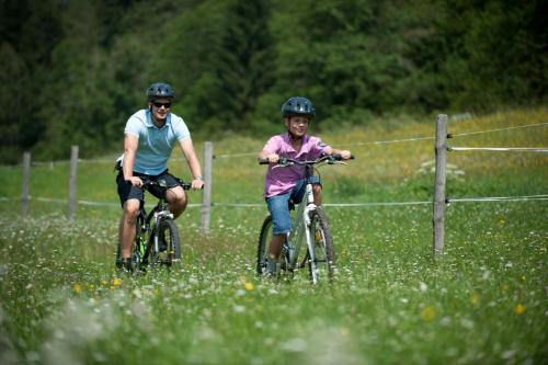 Happy Camp Mobile Homes in Camping Bella Austria