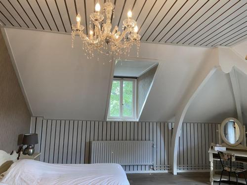 De Os en het Paard - main image