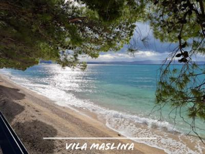 Vila Maslina