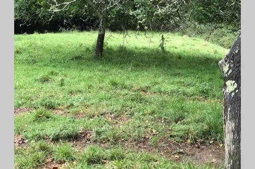 Casa Rural en Arriondas