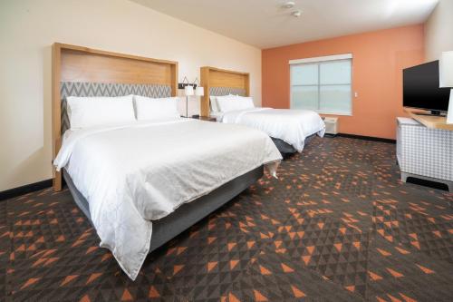 Holiday Inn St Louis - Creve Coeur