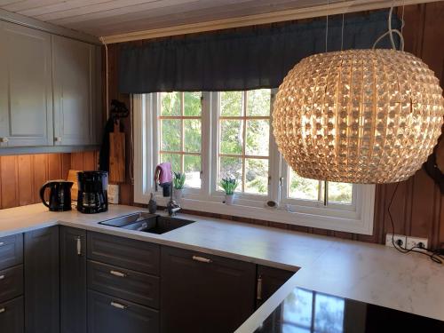 Kitchen, Solhytta Fantastisk beliggenhet! Hytte til leie pa Skrim! in Kongsberg