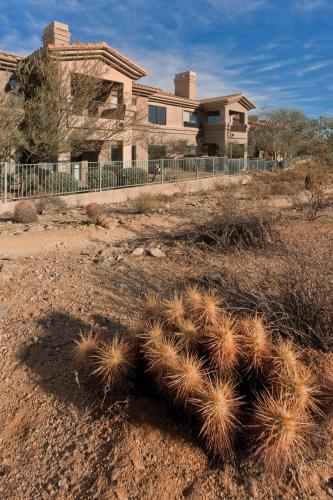 Raintree at Worldmark Phoenix South Mountain Preserve - image 11