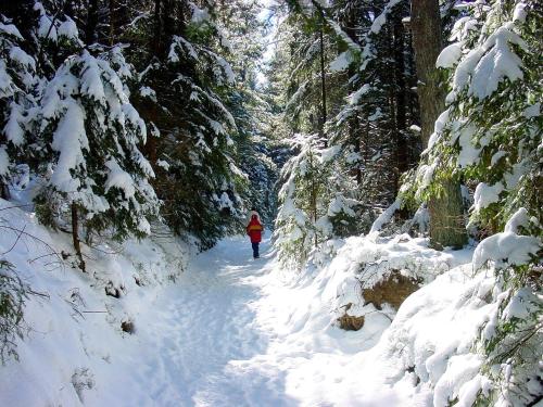 Appartement im Himmelreich in ลาม