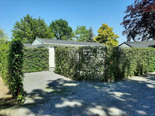 Chalet Valkenbosch Groenvink 85 in Oisterwijk