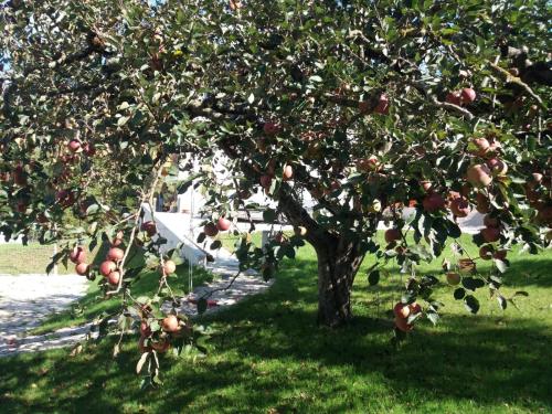 Antico Melo B&B 5