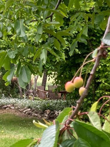 Les fontanelles du quercy blanc