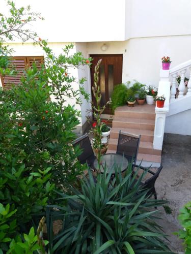 Apartman Sunce in Raslina