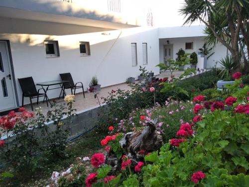  Golden Sun Apartments in Rodakino