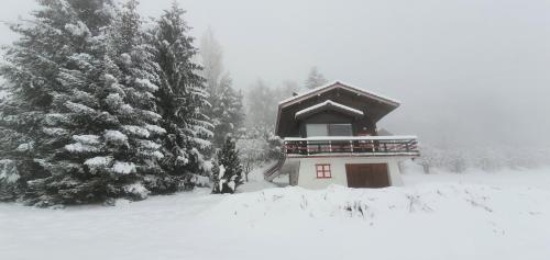 Chalet Nature, Thollon-les-Mémises (zdjęcie 10)